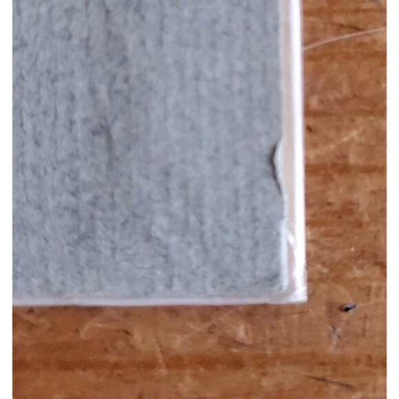 Lesley Holmes Watercolor Mini Painting Cottage with Flowers Print 12/500 Signed - Picture 10 of 11